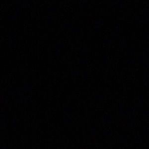 Meet your Posher, Raylene